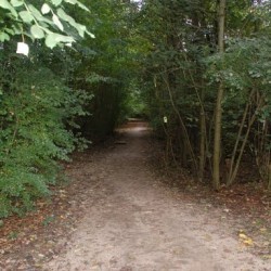 DSC 0569 - Sportraad Zaventem 